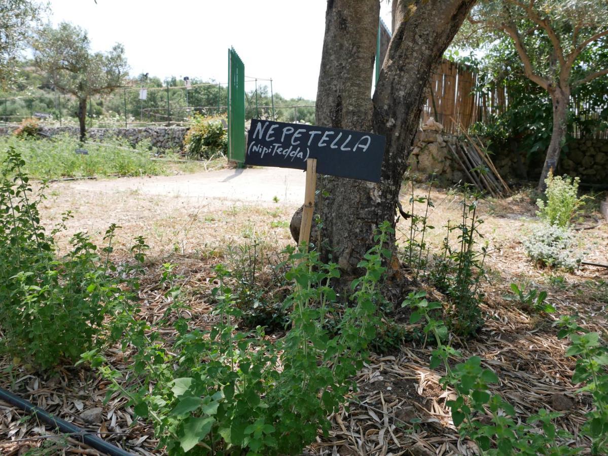 Pantalica Ranch Agriturismo Siciliano Villa Sortino Eksteriør bilde
