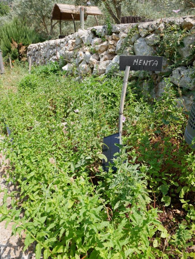 Pantalica Ranch Agriturismo Siciliano Villa Sortino Eksteriør bilde