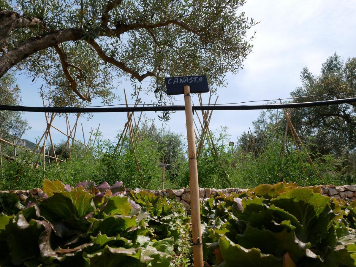 Pantalica Ranch Agriturismo Siciliano Villa Sortino Eksteriør bilde